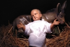 IMG_20201227_135155