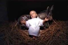 IMG_20201227_135201