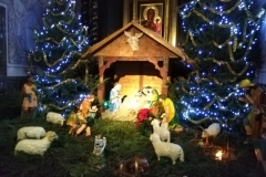 IMG_20201227_140057