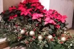 IMG_20201227_141333