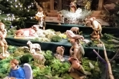 IMG_20201227_142349
