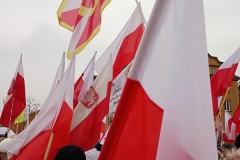 IMG_20241201_115429820_MFNR