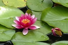MVIMG_20220617_095902