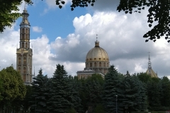 MVIMG_20220617_100139