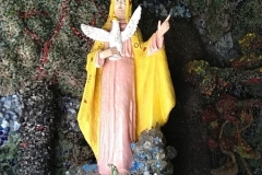 MVIMG_20220617_102021