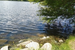 MVIMG_20220617_113958