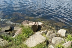 MVIMG_20220617_114000