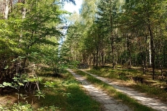 IMG_20250812_102710960_MFNR