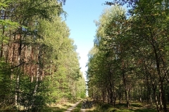 IMG_20250812_102833863_MFNR