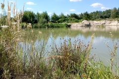 IMG_20250812_105619312_MFNR