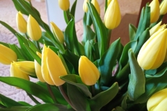 IMG_20250421_071108756_MFNR